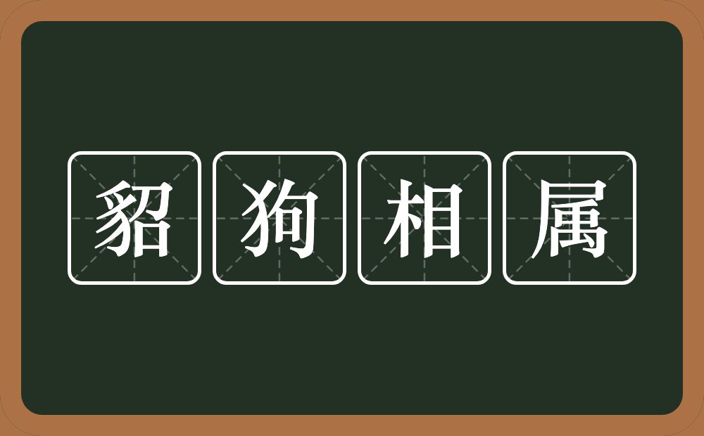 貂狗相属的意思？貂狗相属是什么意思？