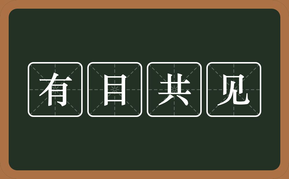 有目共见的意思？有目共见是什么意思？