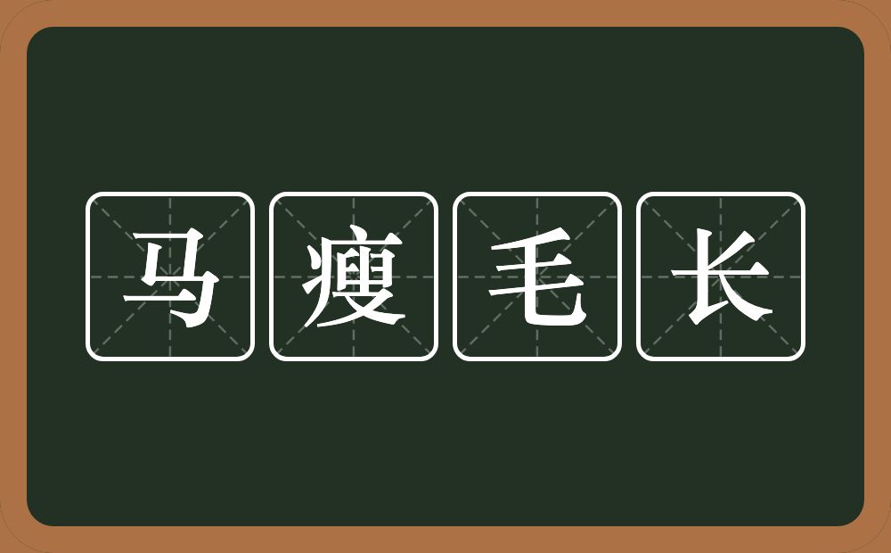 马瘦毛长的意思？马瘦毛长是什么意思？