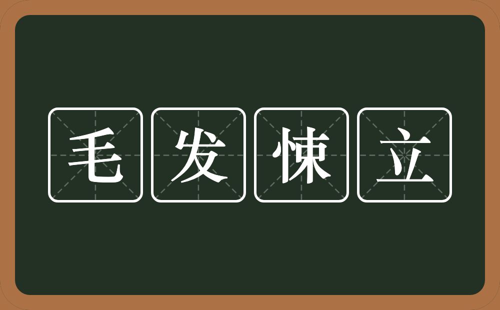 毛发悚立的意思？毛发悚立是什么意思？