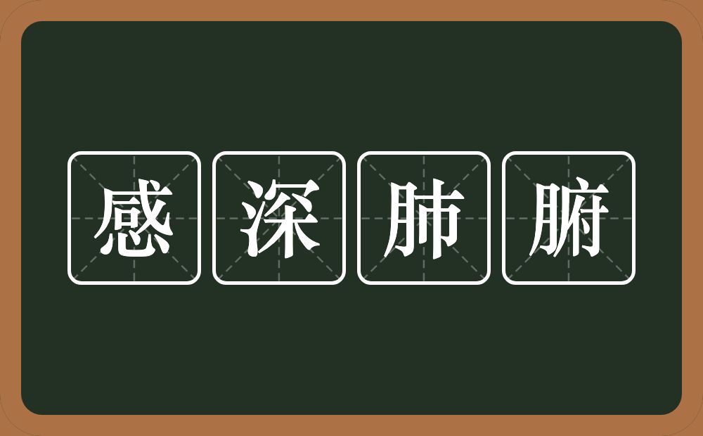 感深肺腑的意思？感深肺腑是什么意思？