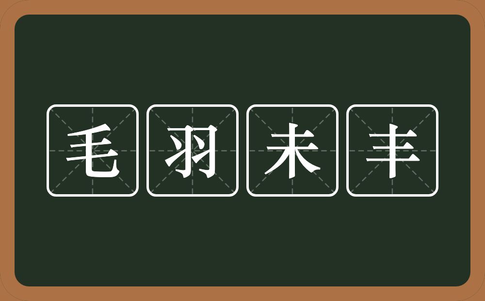 毛羽未丰的意思？毛羽未丰是什么意思？