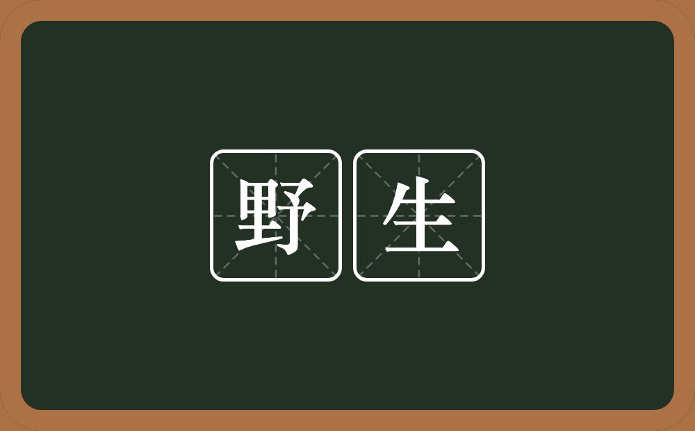 野生的意思？野生是什么意思？