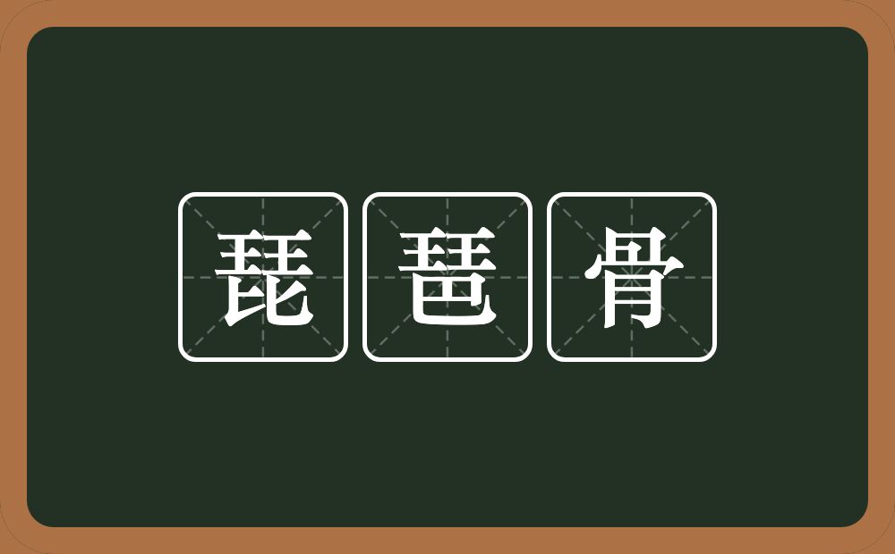 琵琶骨的意思？琵琶骨是什么意思？