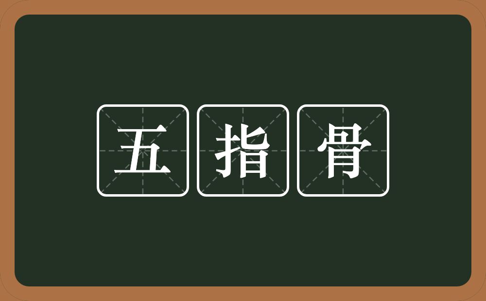 五指骨的意思？五指骨是什么意思？