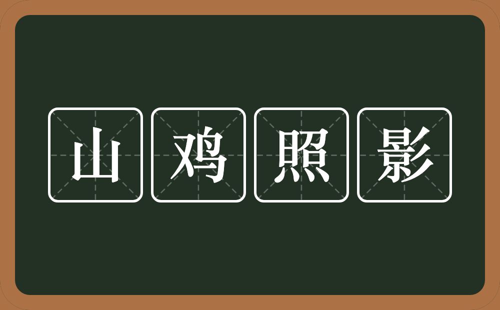 山鸡照影的意思？山鸡照影是什么意思？