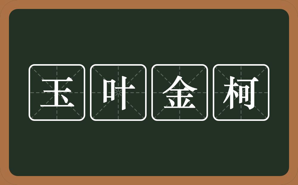 玉叶金柯的意思？玉叶金柯是什么意思？