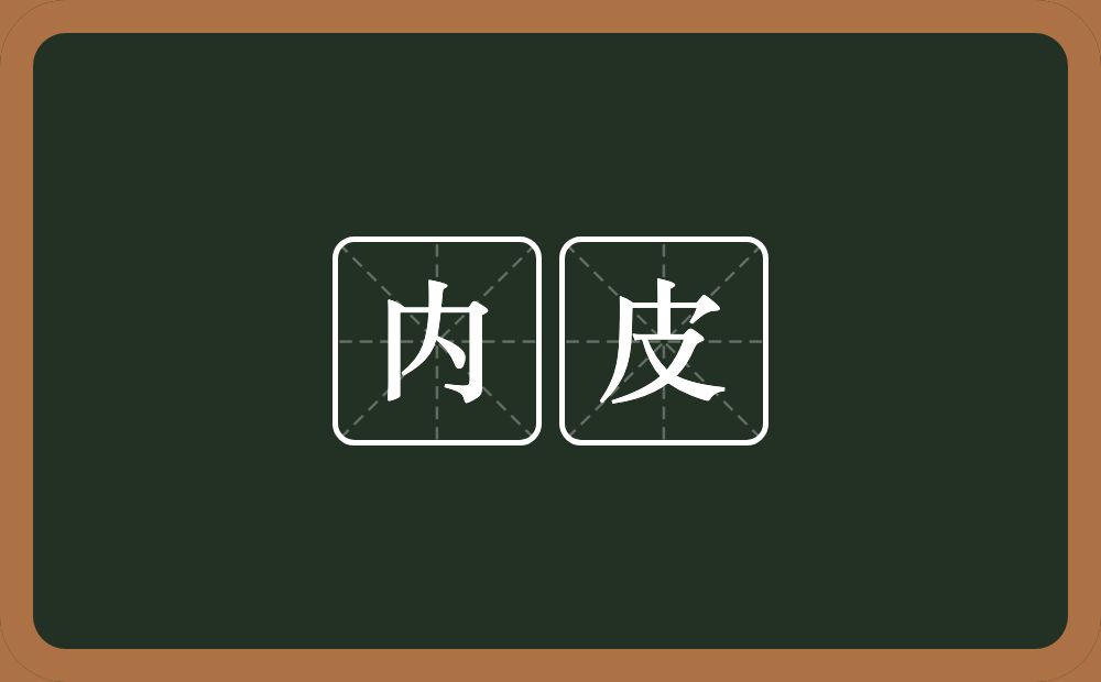 内皮的意思？内皮是什么意思？